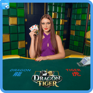 Dragon Tiger