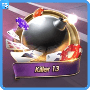 Killer 13